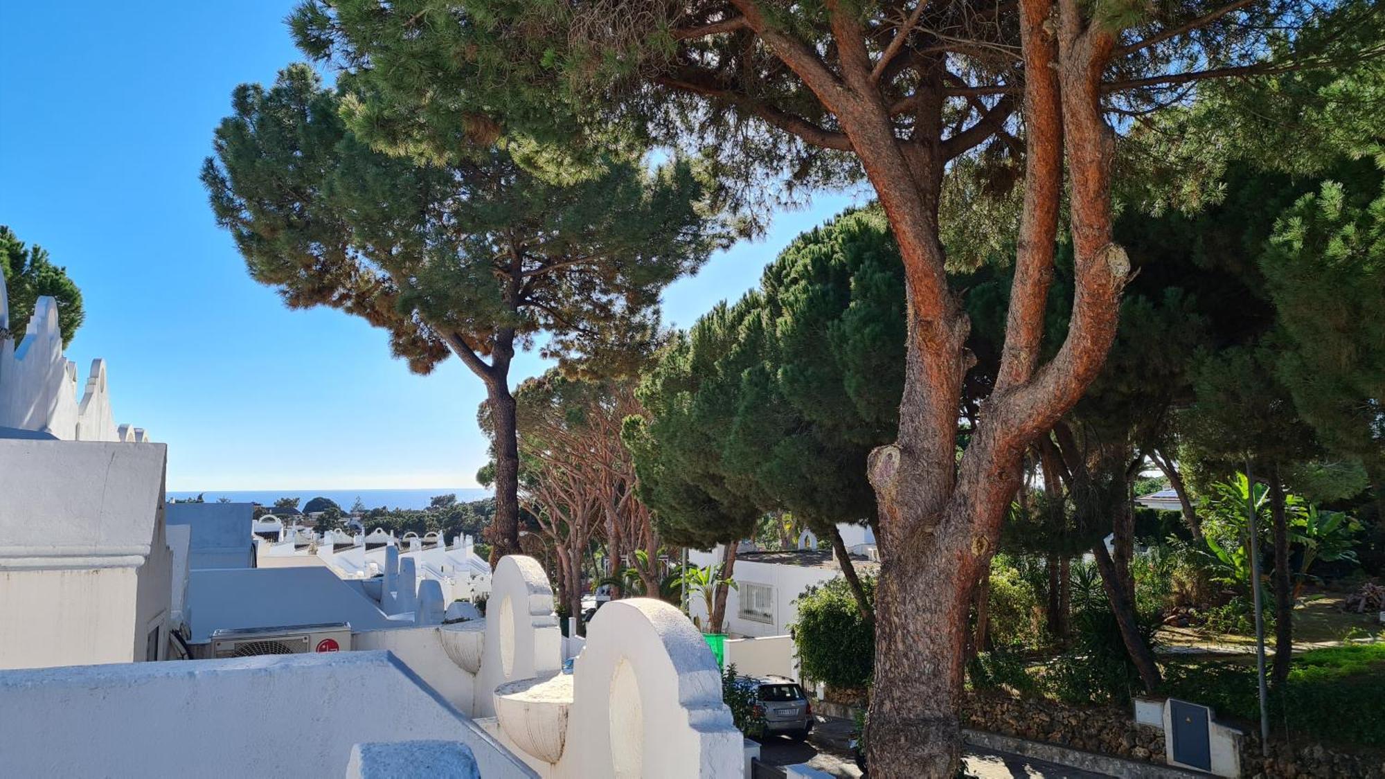 Casa Hibiscus Marbella Villa Dış mekan fotoğraf